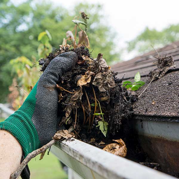 Cleaning gutter during the summer