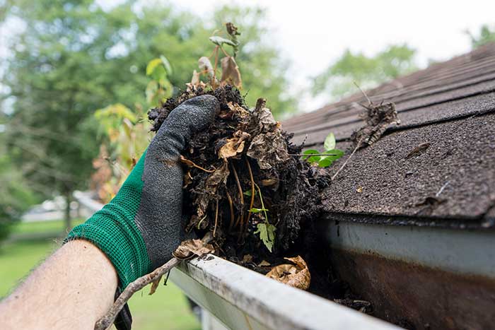 Cleaning gutter during the summer
